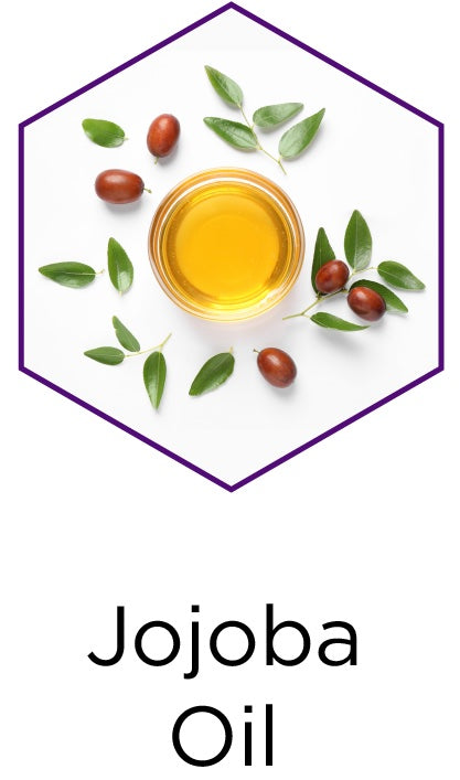 Jojoba_Oil_Key_Ingredient.jpg