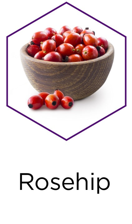 Rosehip_Key_Ingredient_Icon_a6882b21-be2e-4ff1-984e-ba2a3500d1fd.jpg