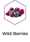 Wild berries