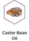 Castor bean oil