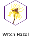 Witch hazel