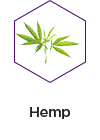 hemp