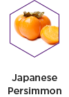 Japanese Persimmon