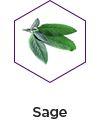 sage