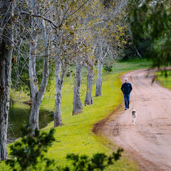 Walking along the driveway of Lenton Brae vineyard