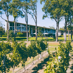 Madfish winery and cellar door