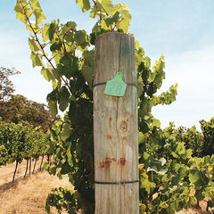 Vineyard post at Miles from Nowhere