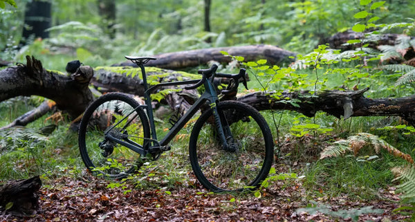 Das Rondo MYLC Gravel Bike im Wald