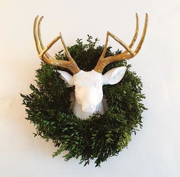 Featured image of post Real Deer Head Decor / Buy deer head and get the best deals at the lowest prices on ebay!