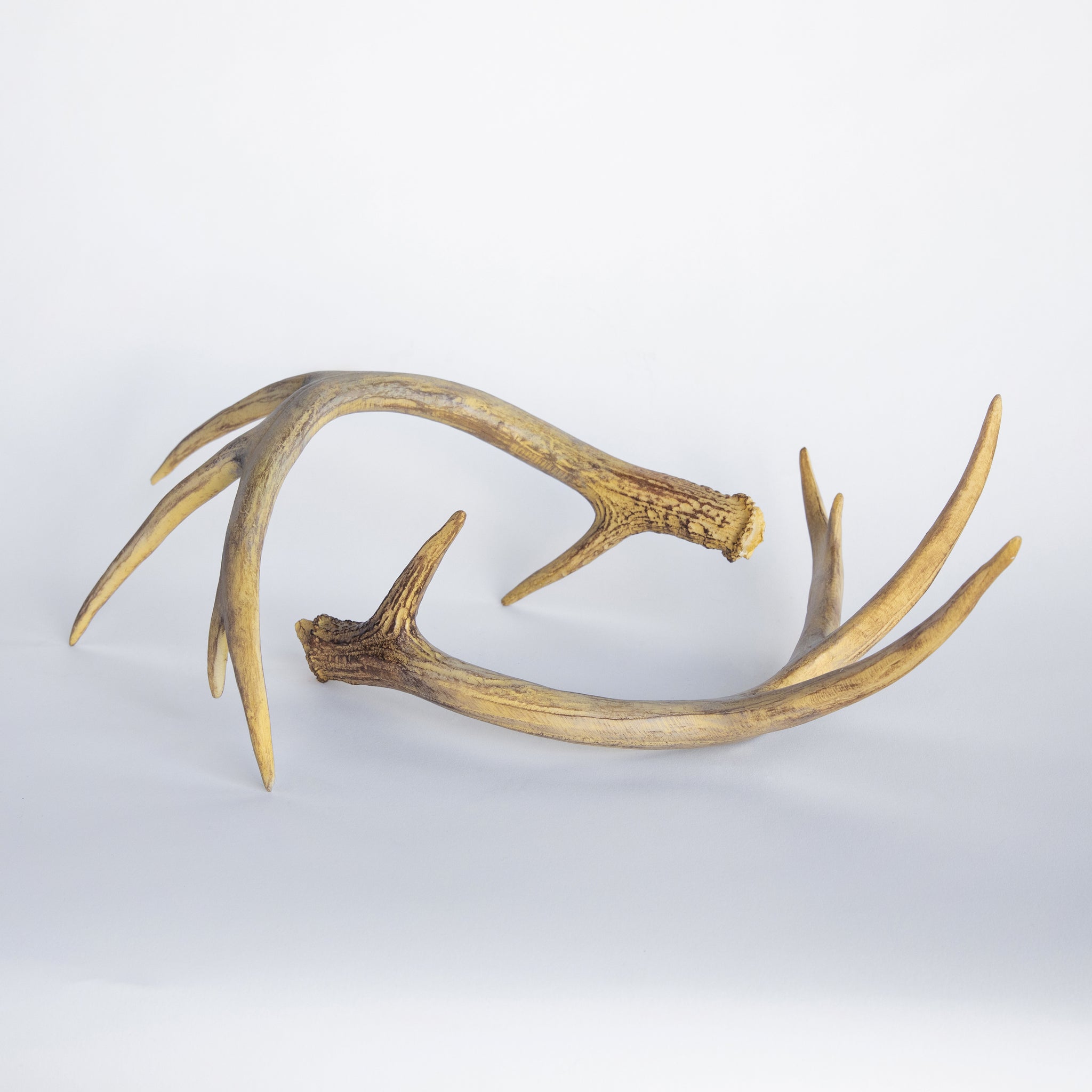 Faux Realistic Deer Antlers Replica Deer Antlers – Near And Deer