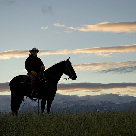 Cowboy on horseback at dawn. 