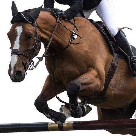 Show Jumping Event Horseman on an obstacle course.