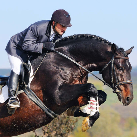 Brown horse with rider jumps over obstacle