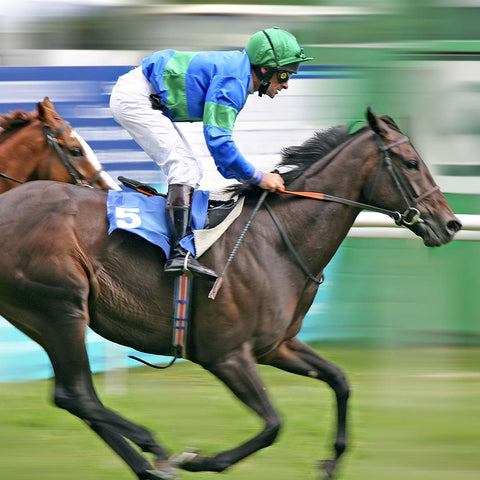 Horse with jockey running blurred