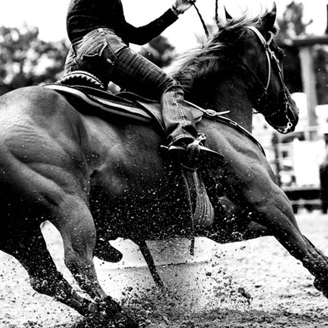 High contrast, black and white closeup of a rodeo Barrel Racer making a turn at one of the barrels