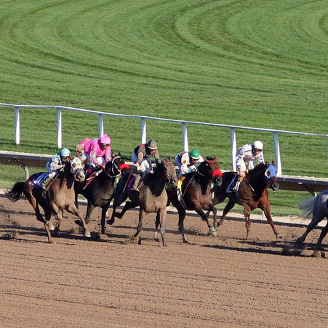 Wide shot of horses racing down track