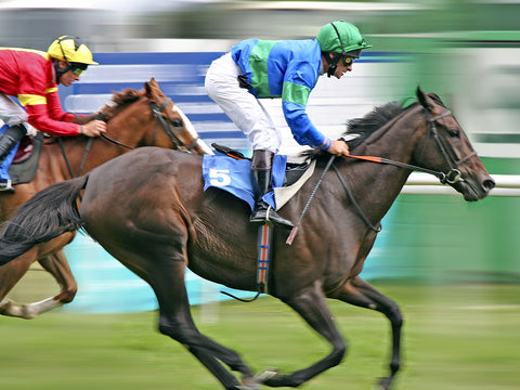 professional rider riding a racehorse