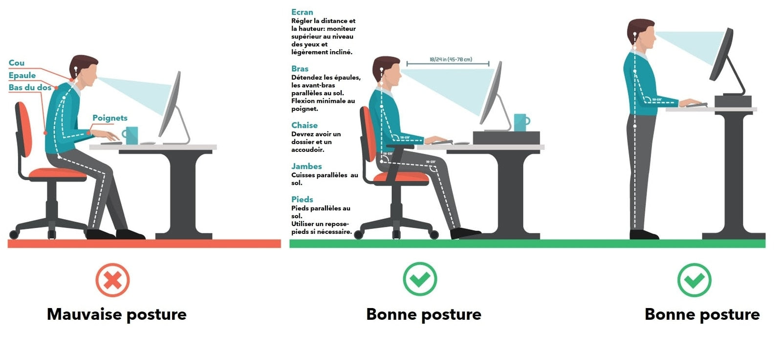 ERGONOMIE, Adoptez une bonne posture au travail avec un bureau assis  debout