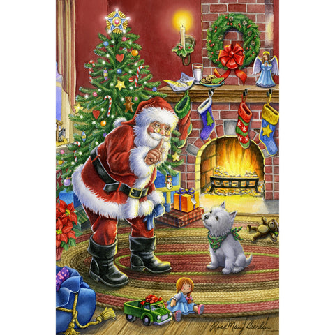 Shhh Santa by Rose Mary Berlin