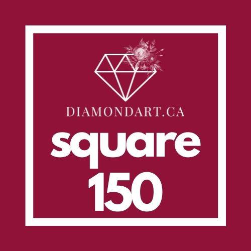 Square Diamonds DMC 100 - 499-600 diamonds (3 grams)-150-DiamondArt.ca