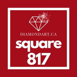 Square Diamonds DMC 700 - 899-600 diamonds (3 grams)-817-DiamondArt.ca
