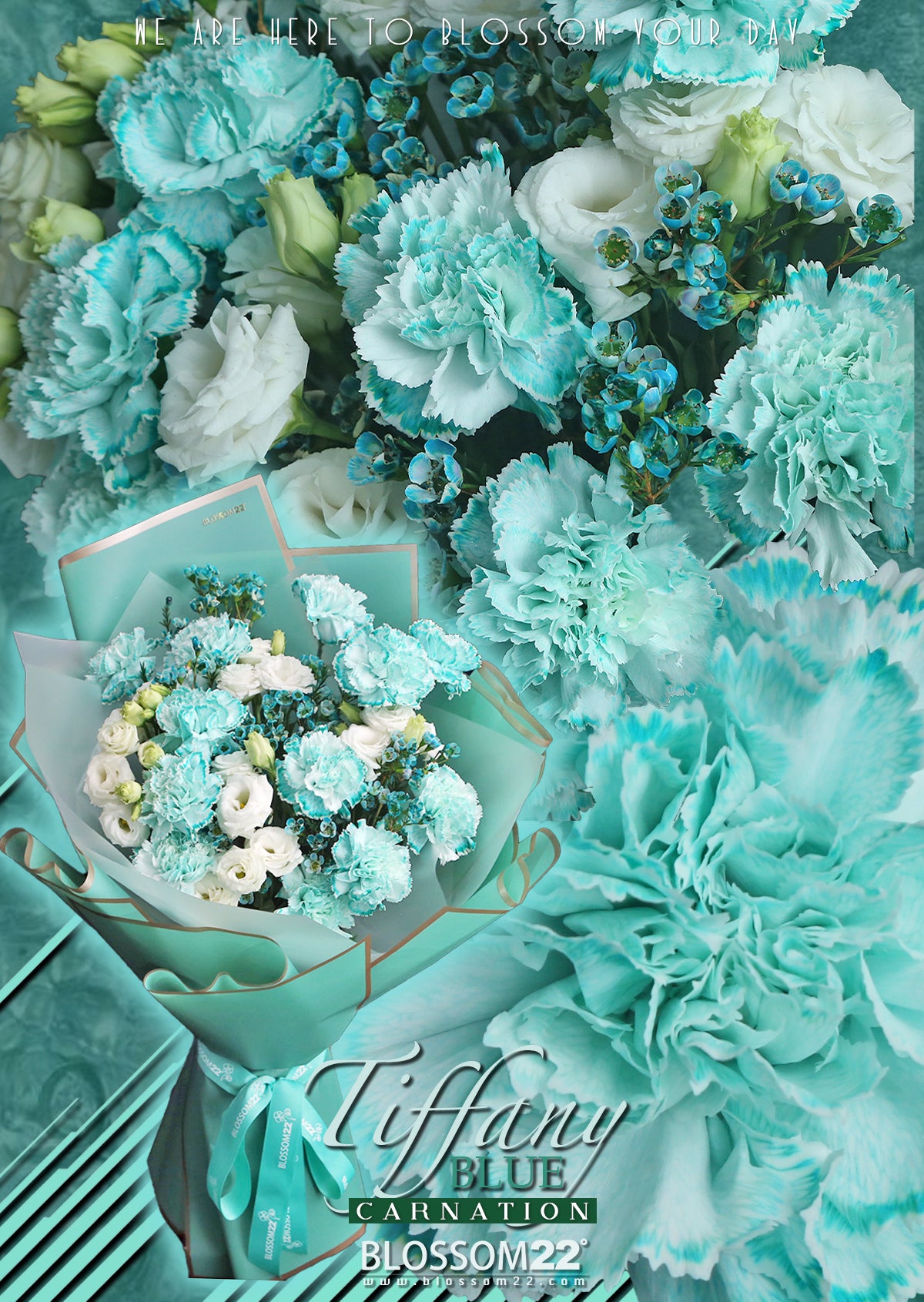 Tiffany Blue Carnation