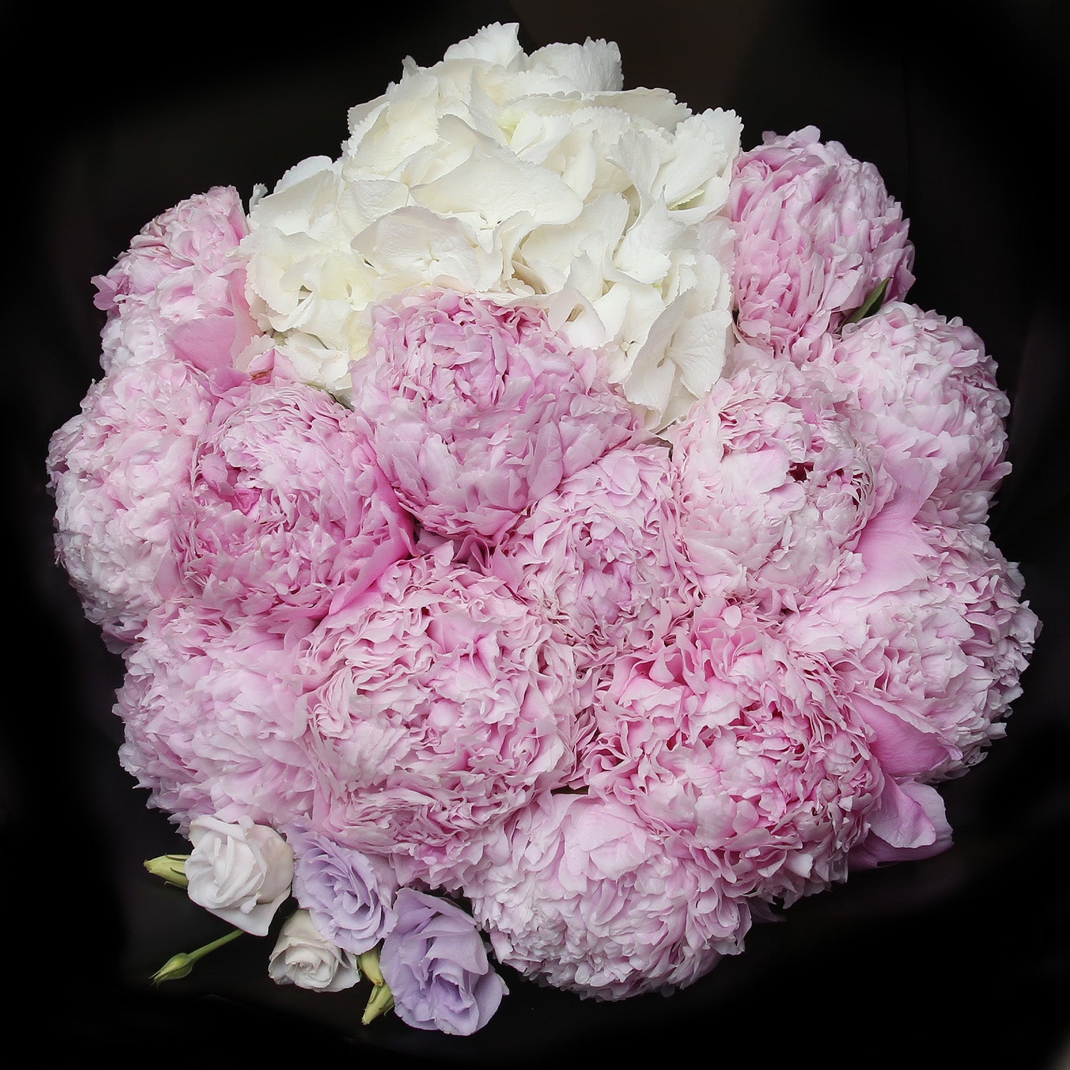 10 Peony Hydrangea 10牡丹繡球花束 4 6月限定