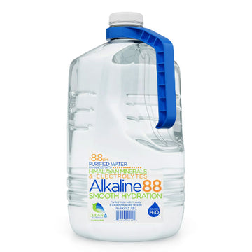 TEN Alkaline Spring Water, pH 10, High in Electrolytes, 16.9 Fl Oz (Pack of  24)