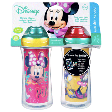 Disney Princess ImaginAction Insulated Hard Spout Leak Proof Sippy Cups 9  Oz - 2 Pack 