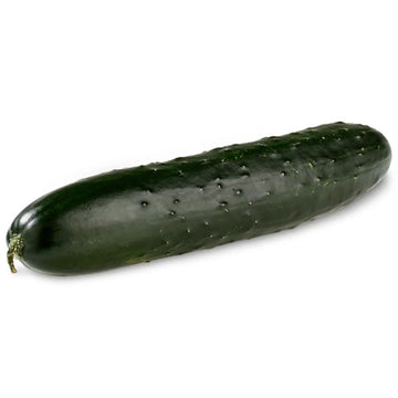 Fresh Organic Long English Cucumber, Each