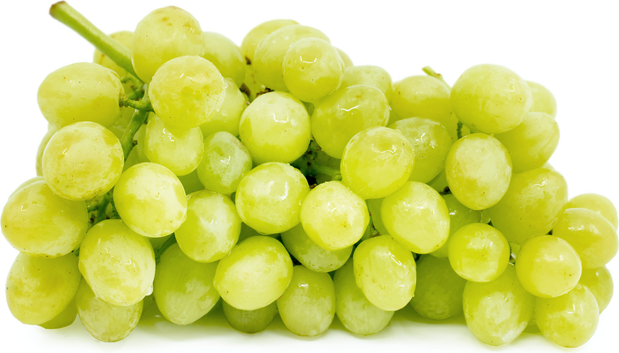 PASCLE Organic Green Super Sweet Grapes Seed Price in India - Buy