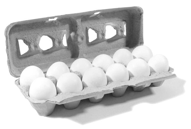 Organic Large Eggs 1 dozen - Cafe Pasquals All Products Santa Fe, NM