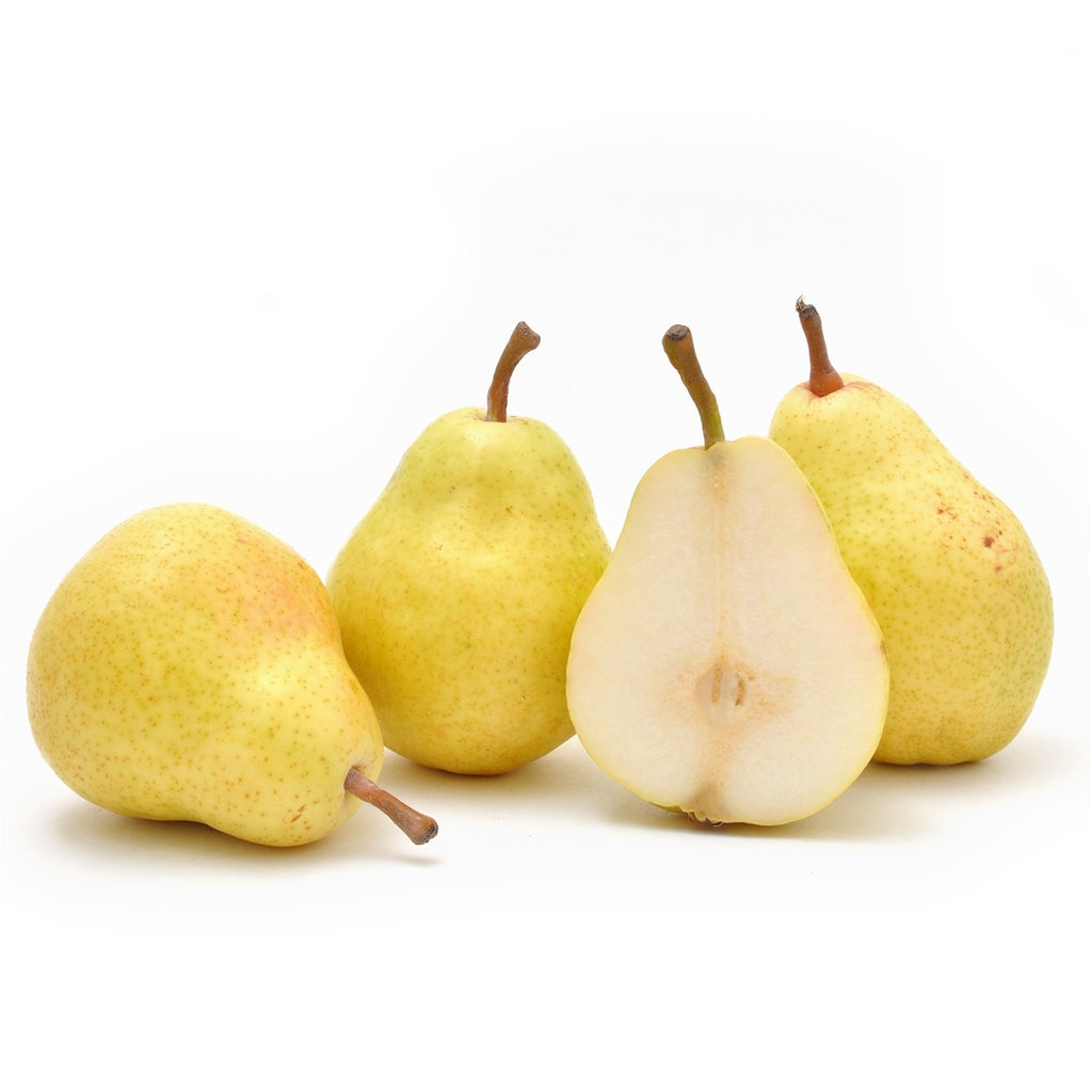 Bosc Pears 1 quart – Lyons Fruit Farm and Market