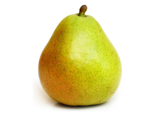 https://cdn.shopify.com/s/files/1/0270/6577/8294/files/pears-anjou-bag-of-6-919145_cc7e860b-ac42-4b38-b1c2-769a0d8cd9bc_512x384.jpg?v=1695116529