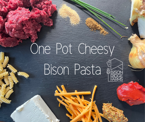 One Pot cheesy bison Pasta