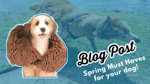 Spring must haves for your dog.  Mud, Ticks & Skunk Solutions