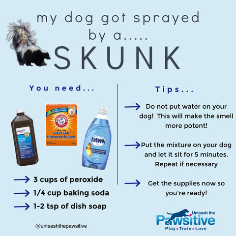 best solution for dogs being sprayed by a skunk!