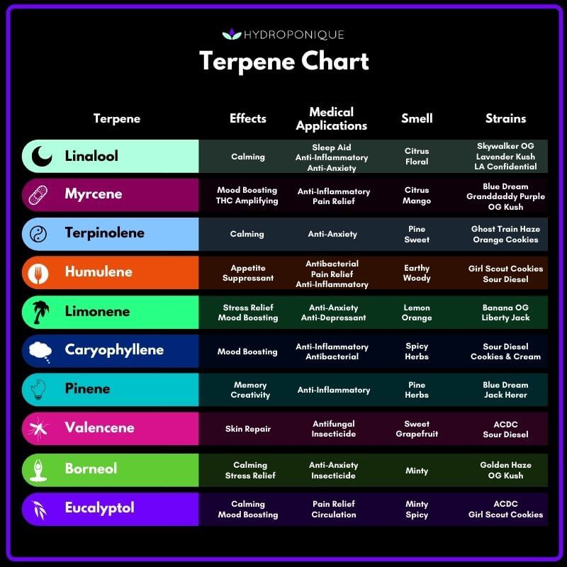 terpene chart