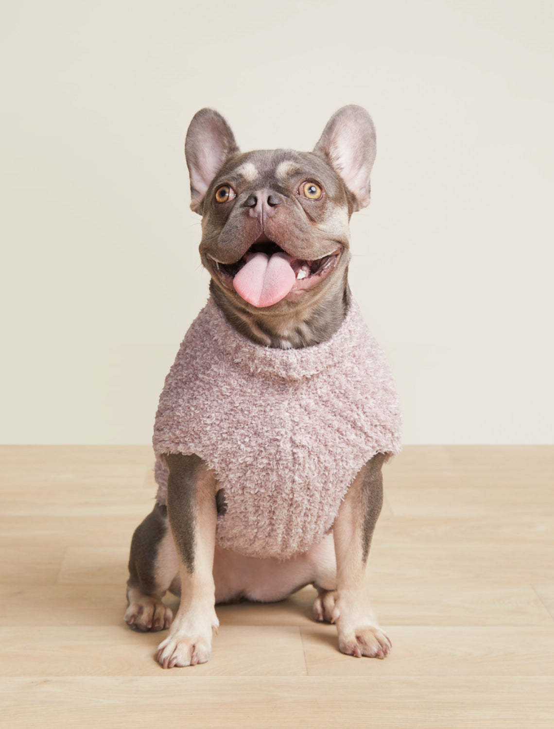 Chewing Dogior Book Sweater
