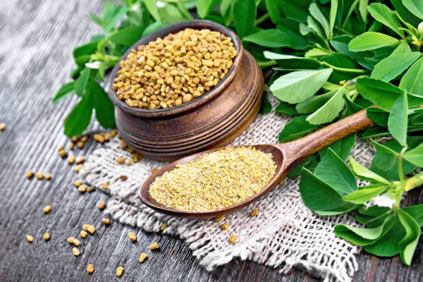 Regular consumption of fenugreek seeds helps in lowering total cholesterol