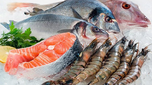 Fine taste and good nutrition of seafood