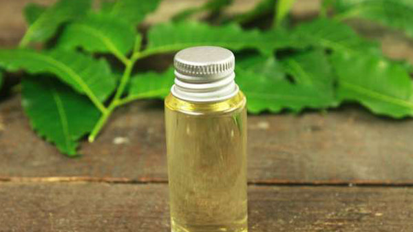 Neem oil is great to protect from mosquitoes 