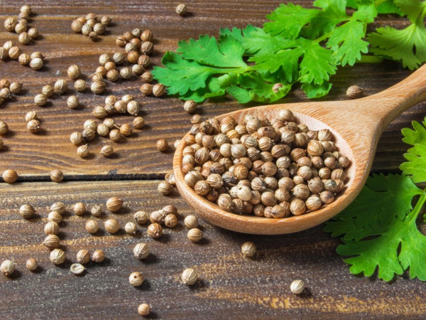 A spoonful of coriander keeps you healthy