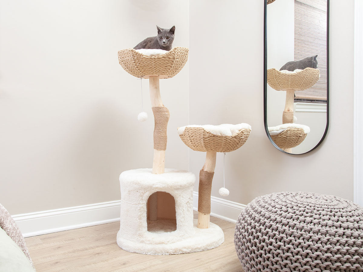 Gray Cat In Top Basket Bed Of Bungalow Cat Tree