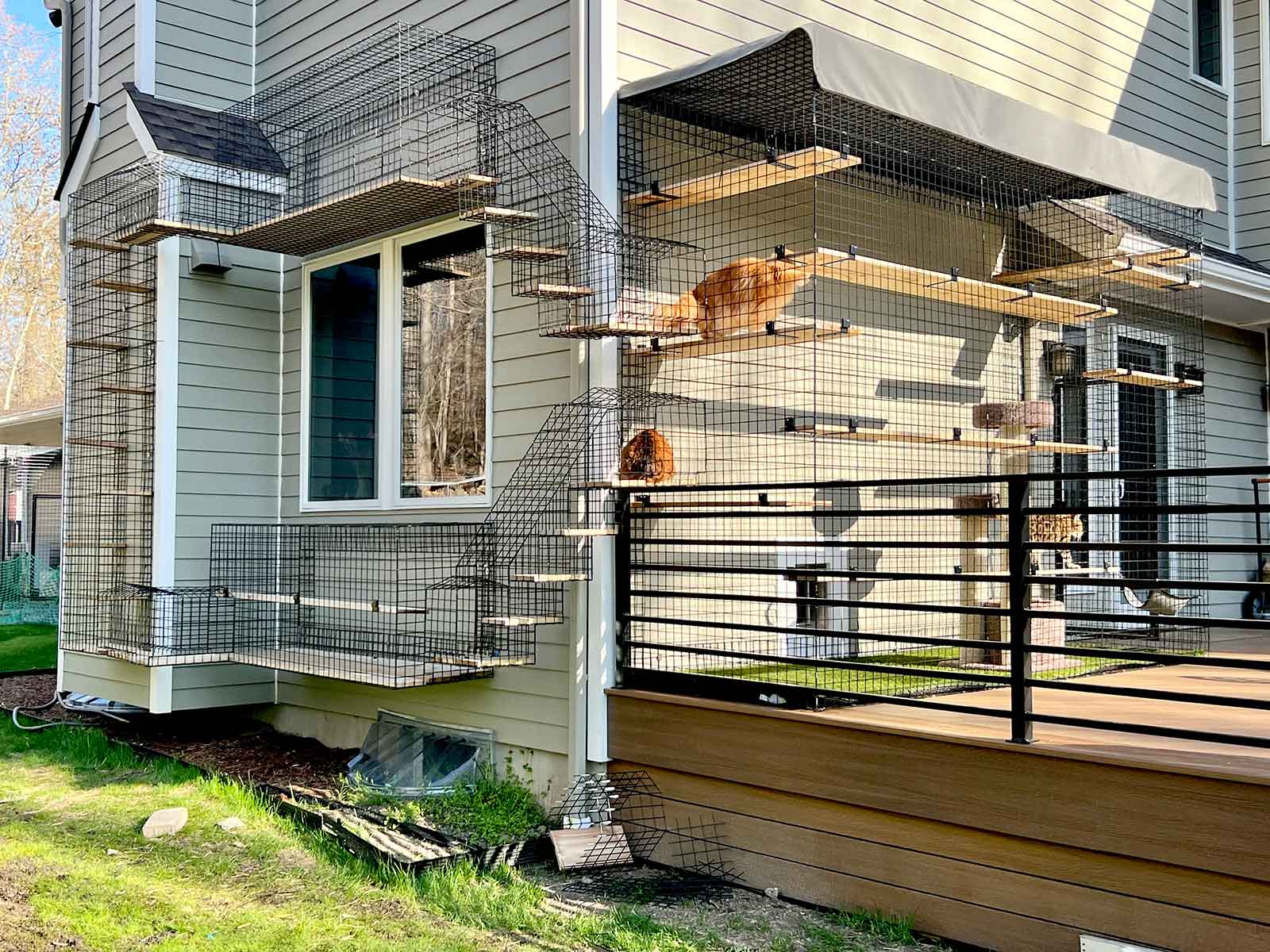 Custom Designed Habitat Haven Catio Attached To House And Deck