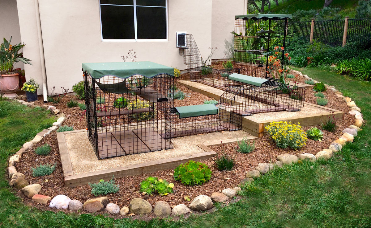 outdoor cat enclosures