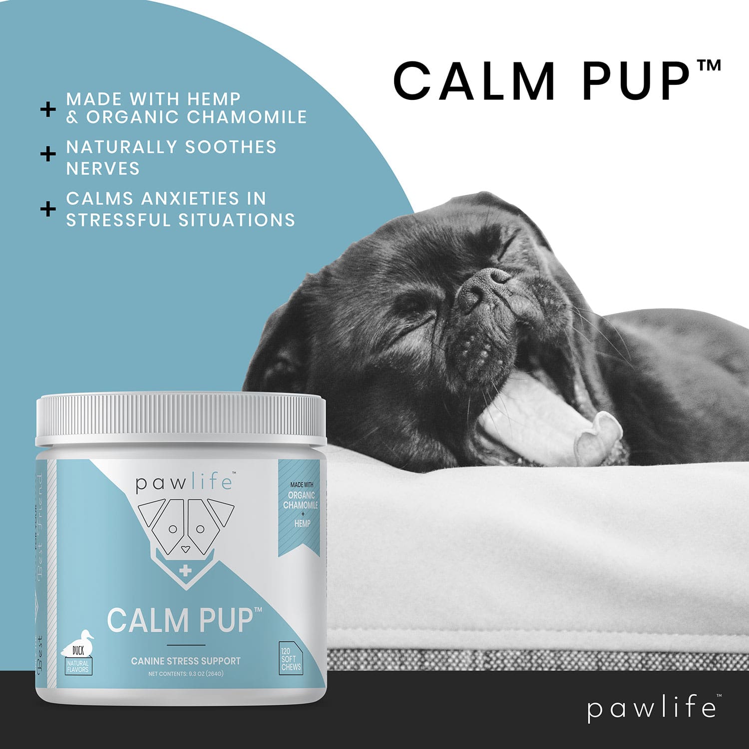 pawlife calm pup