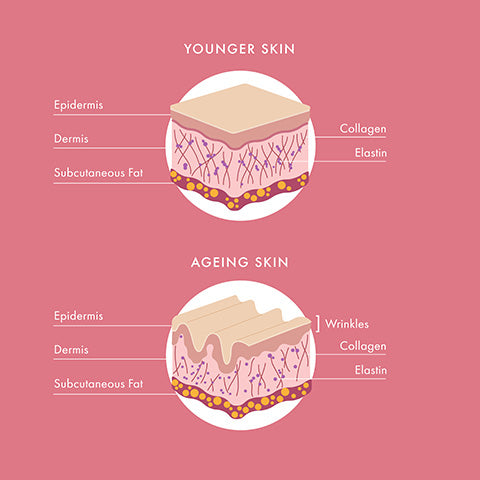 Promoting collagen production