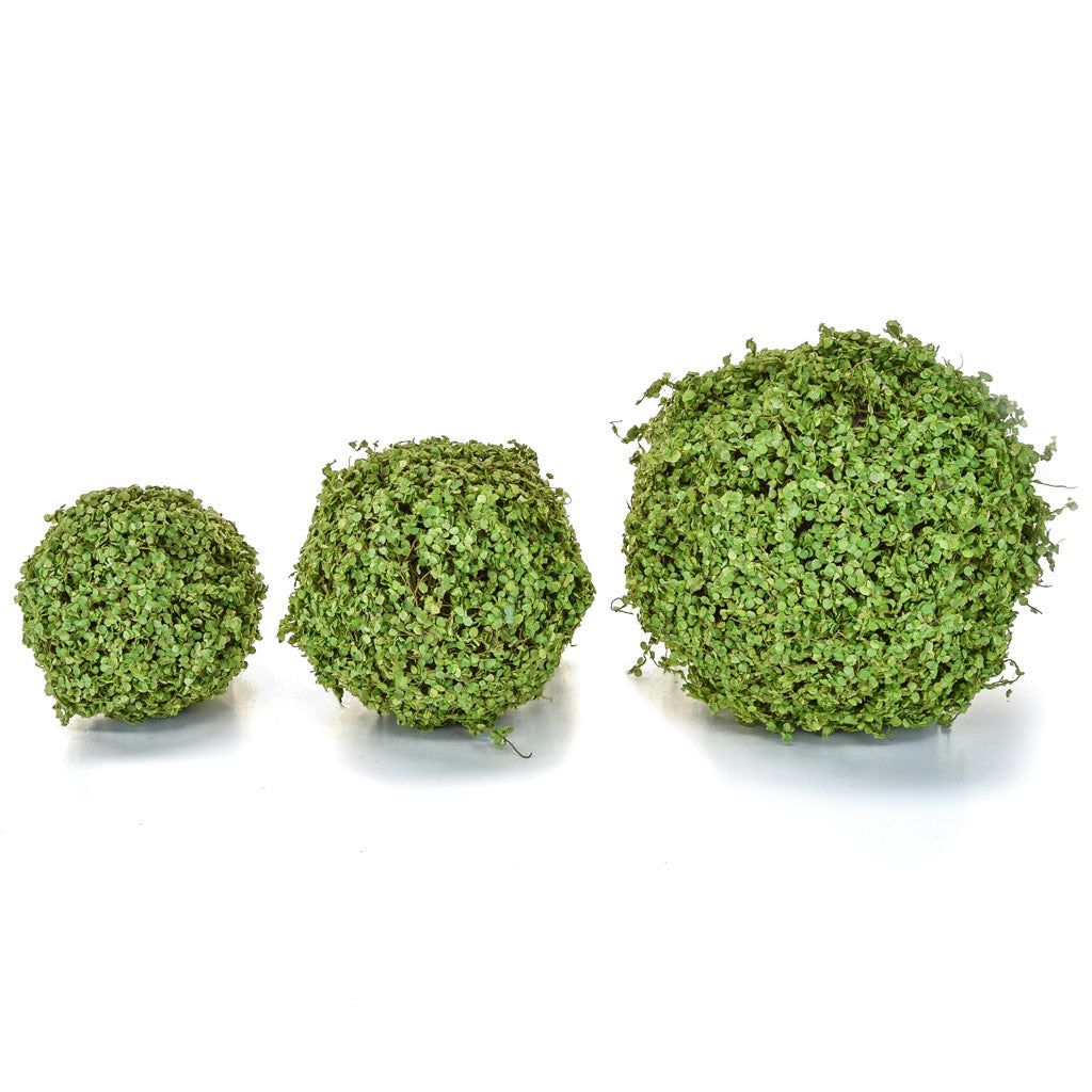 Topiary Twig Ball | Topiary Moss Ball – Cavendish Home