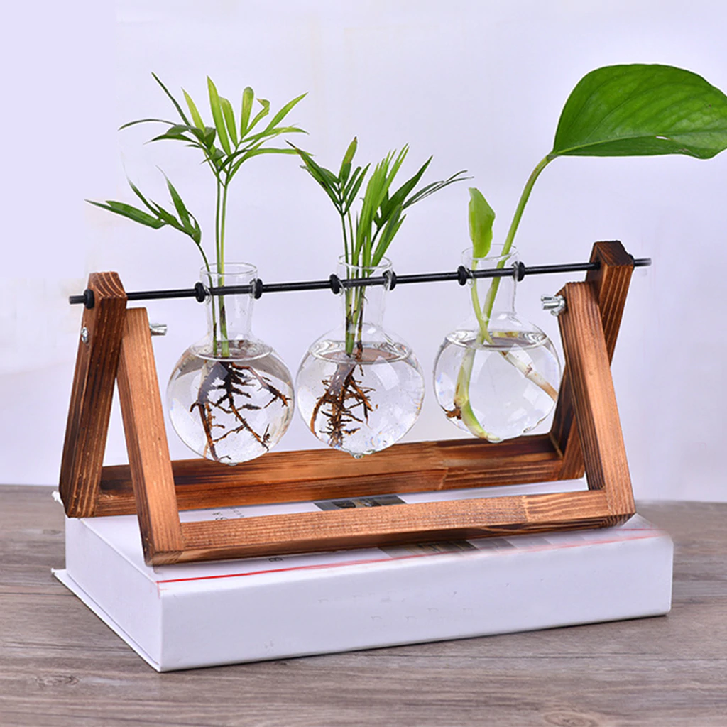 Beautiful Terrarium Hanging Glass Plant Vases Desktop Hydroponic Flower Hanging Pots With Wooden Tray Clear Glass House Plant Decor
